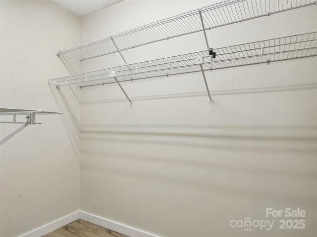 walk in closet featuring hardwood / wood-style floors