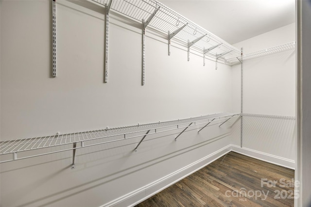 119 N Smallwood Pl, Charlotte, NC 28216 - photo 17