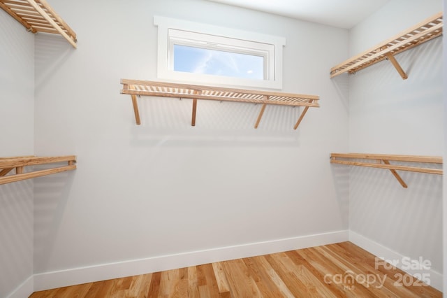 spacious closet with wood-type flooring