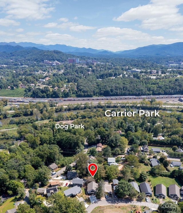 20 Tahkieostie Trl, Asheville, NC 28806 - photo 28