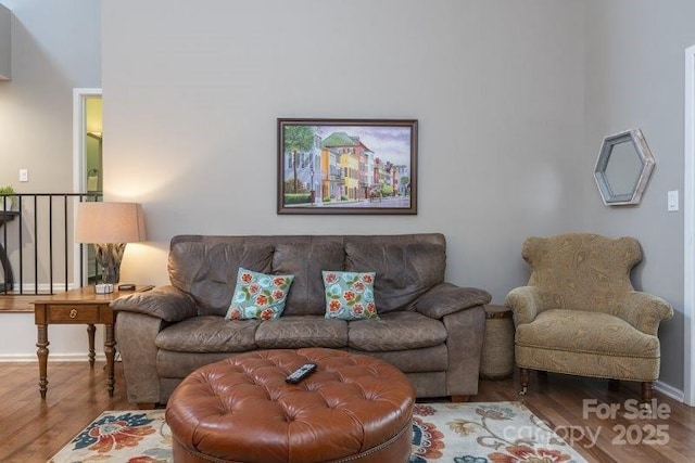 living room featuring wood-type flooring