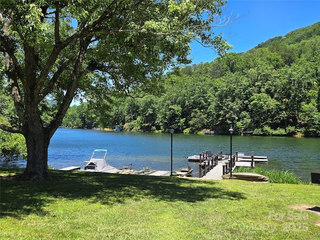 dock area with a yard and a water view