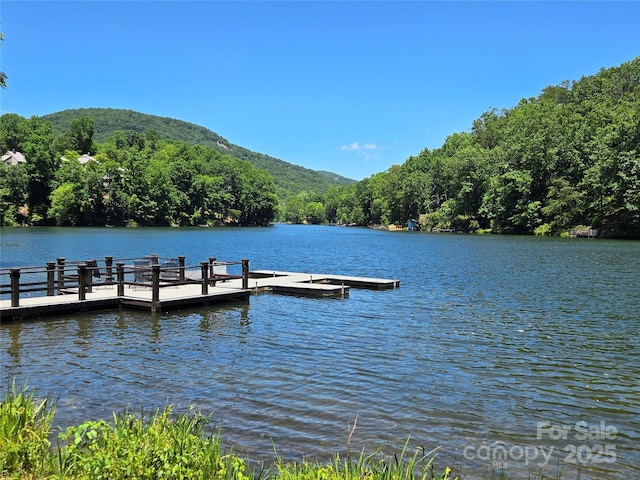 dock area with a water and mountain view