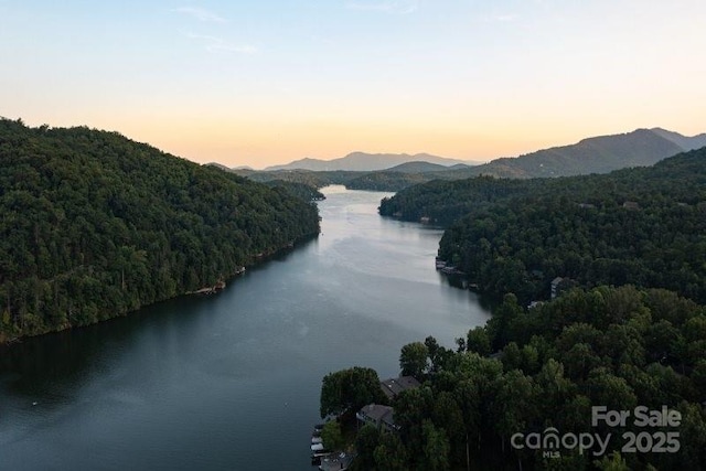 property view of water with a mountain view