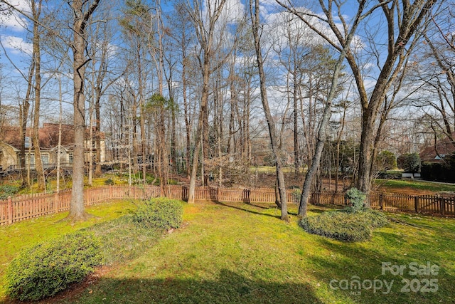 view of yard featuring a fenced backyard