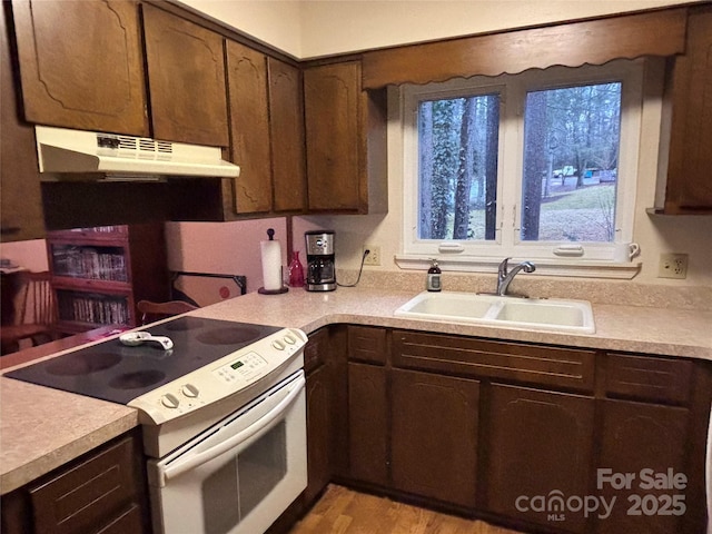 kitchen featuring sink, electric range, dark brown cabinets, and light wood-type flooring