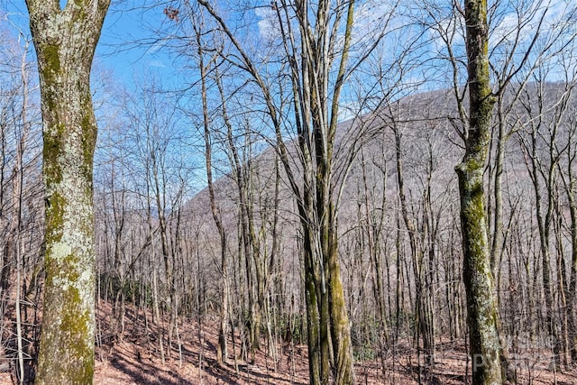 view of nature featuring a mountain view