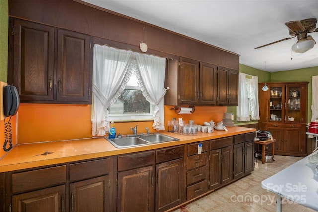 kitchen with sink, dark brown cabinets, and ceiling fan