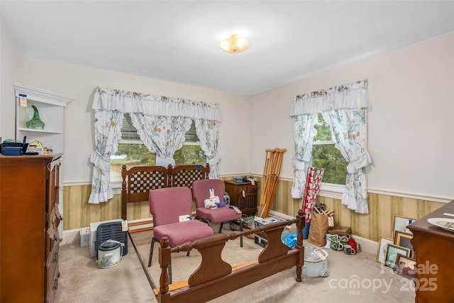 living area with light colored carpet and wooden walls