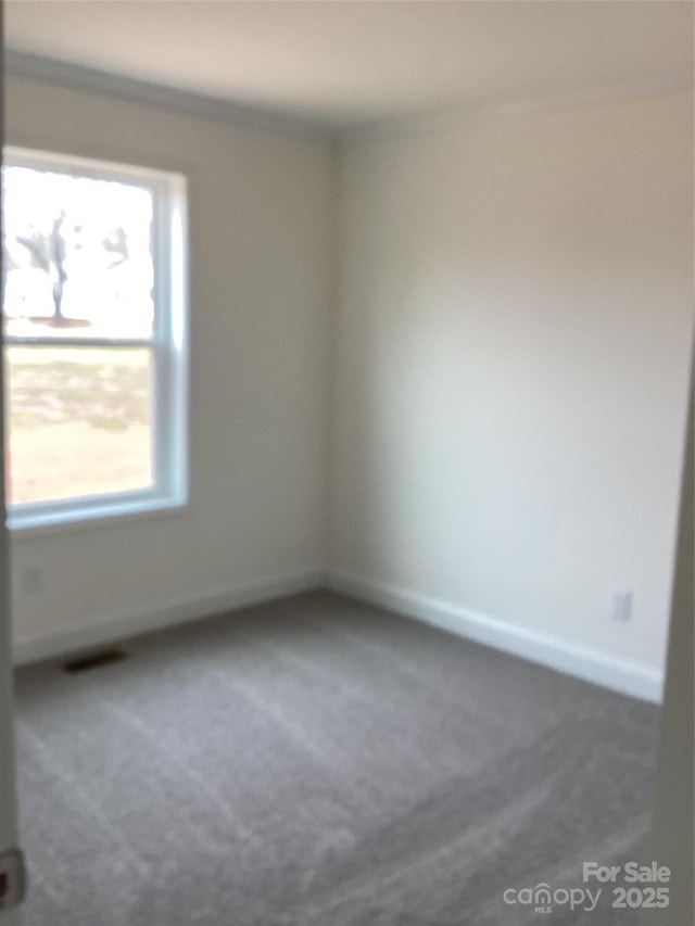 view of carpeted spare room