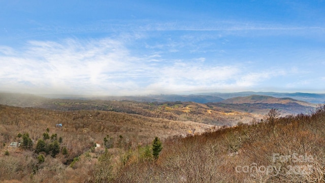 view of mountain feature