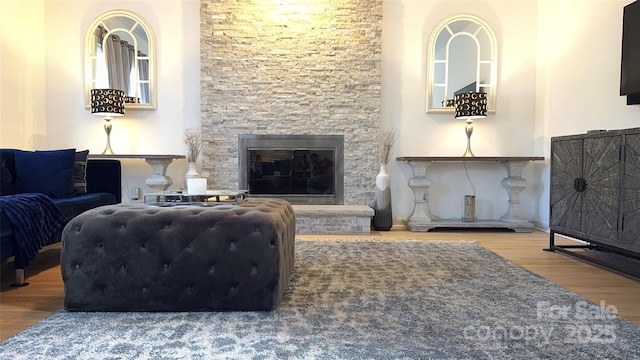 living room featuring a stone fireplace and wood-type flooring