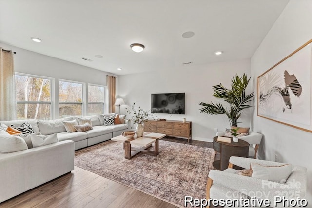 living room featuring hardwood / wood-style flooring