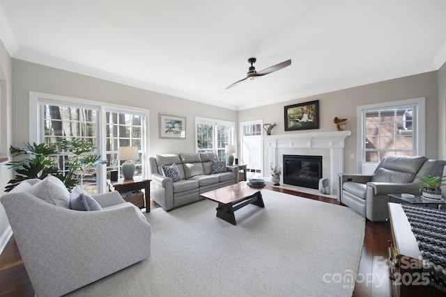 living room featuring a fireplace with flush hearth, crown molding, ceiling fan, and wood finished floors