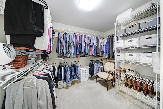 spacious closet featuring carpet