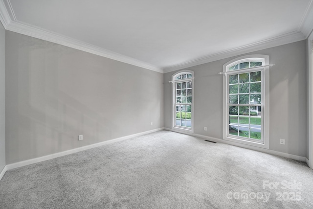 907 Thorn Ridge Ln, Lake Wylie, SC 29710 - unfurnished room featuring ornamental molding, carpet floors, and baseboards
