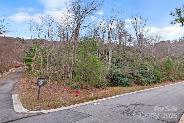 52 Sisters View Dr Unit 163, Black Mountain NC, 28711 land for sale