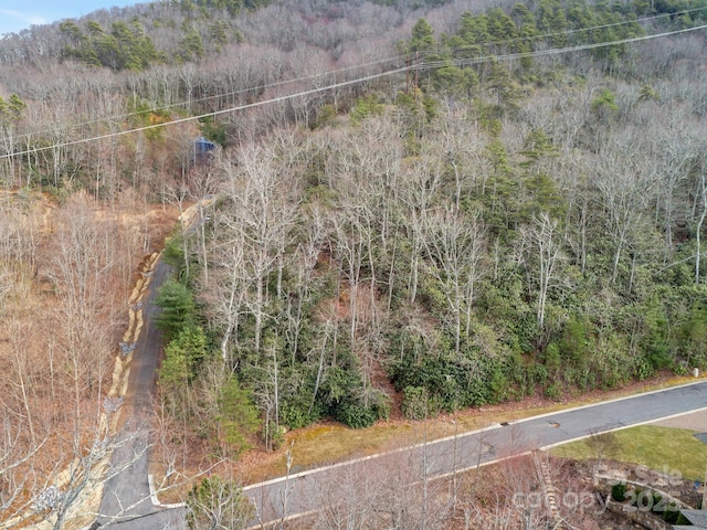 Listing photo 3 for 52 Sisters View Dr Unit 163, Black Mountain NC 28711