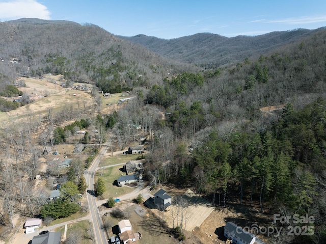 birds eye view of property with a forest view and a mountain view