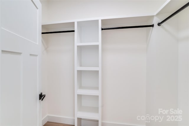 view of spacious closet