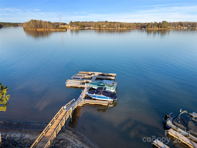 dock area featuring a water view