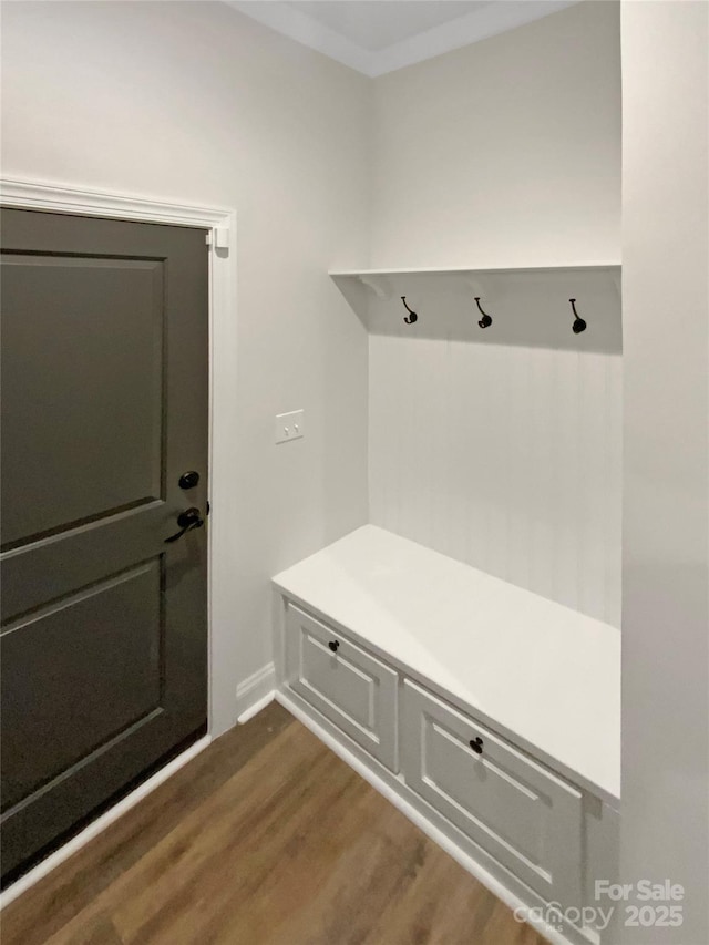 mudroom featuring dark hardwood / wood-style floors