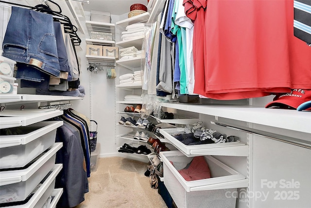 9119 Gander Dr, Charlotte, NC 28277 - spacious closet with light carpet