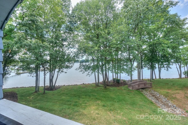 405 NW Dr, Davidson, NC 28036 - view of yard featuring a water view