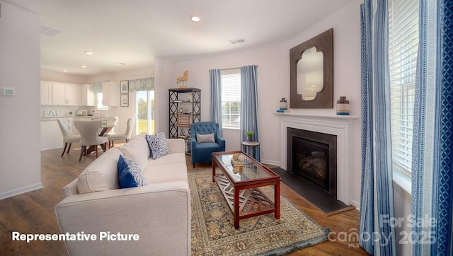 living room featuring hardwood / wood-style floors