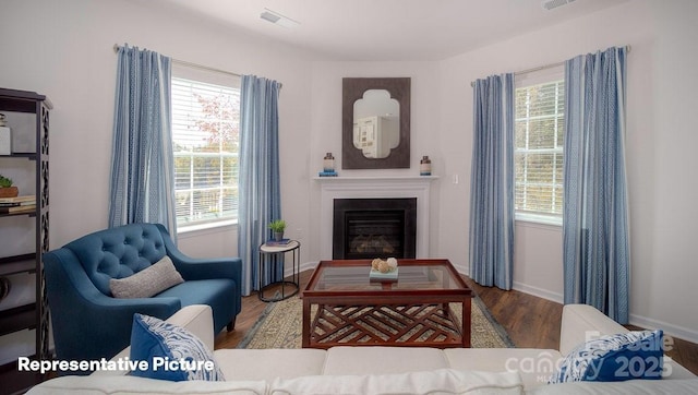 living room with wood-type flooring and a healthy amount of sunlight