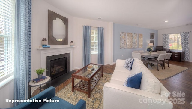 living room featuring hardwood / wood-style floors