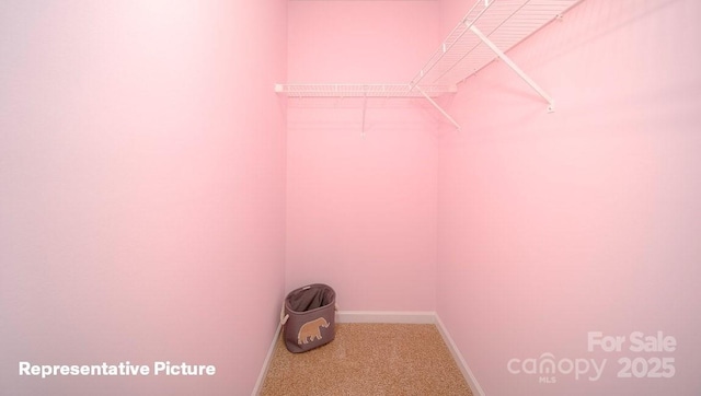 spacious closet with carpet floors