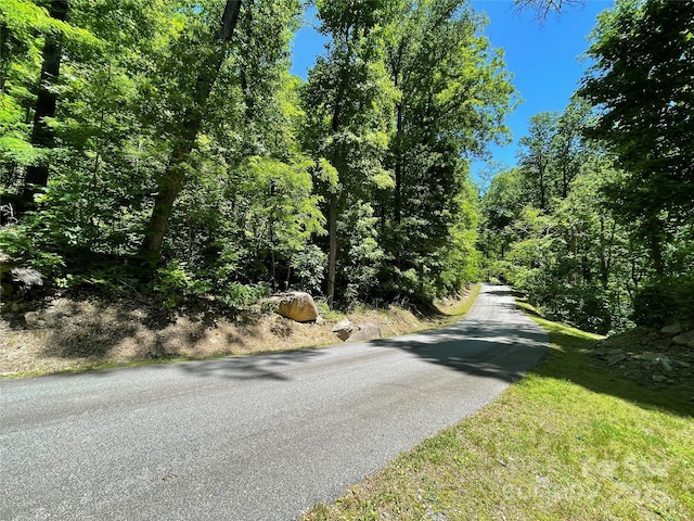 000 Cascada Vista Drive 20&21, Chimney Rock NC, 28746 land for sale