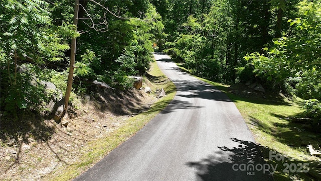 Listing photo 3 for 000 Cascada Vista Drive 20&21, Chimney Rock NC 28746