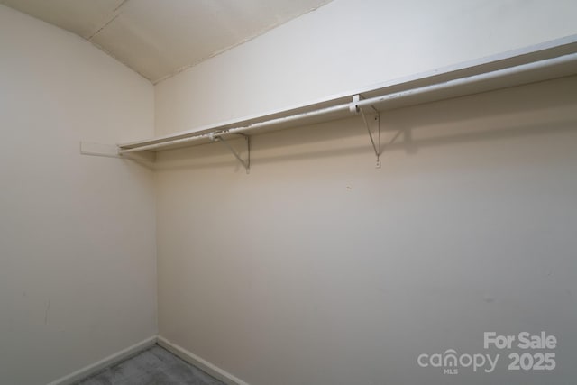 spacious closet with vaulted ceiling