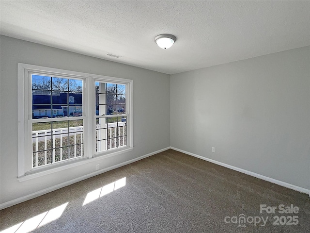 unfurnished room with carpet floors and a textured ceiling