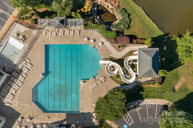 bird's eye view of a pool