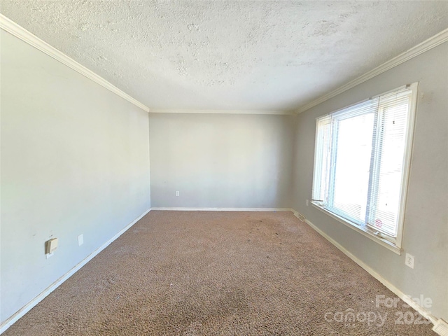 empty room featuring ornamental molding, carpet flooring, and a textured ceiling