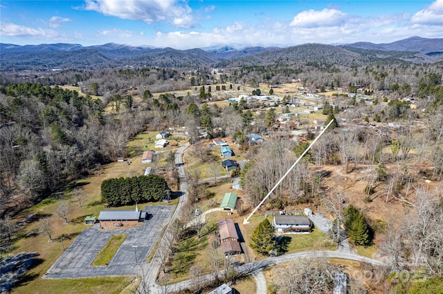 birds eye view of property with a mountain view