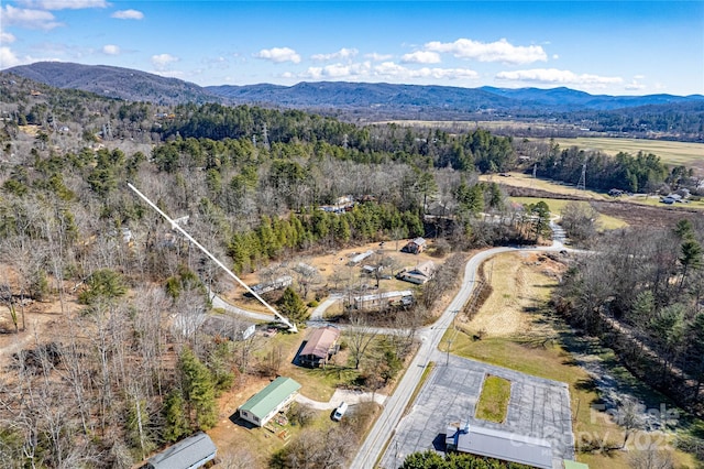 birds eye view of property with a mountain view