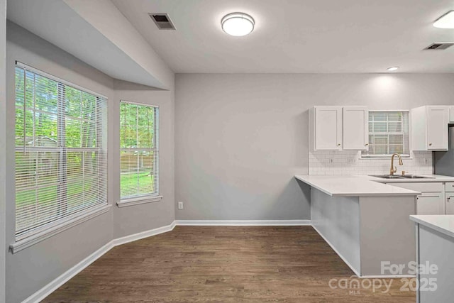 kitchen featuring tasteful backsplash, sink, dark wood-type flooring, and white cabinets