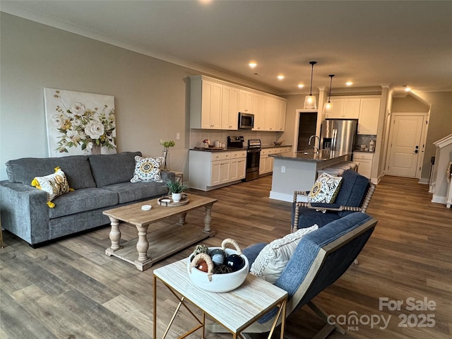 living room featuring crown molding, dark hardwood / wood-style flooring, and sink