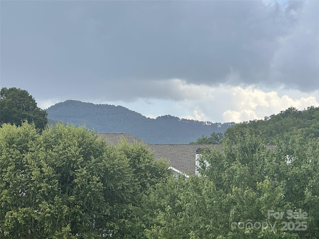 400 Vista Lake Dr Unit 304, Candler, NC 28715 - photo 25