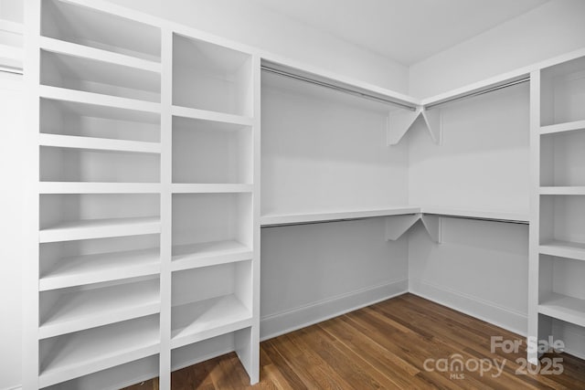 walk in closet with dark wood-type flooring