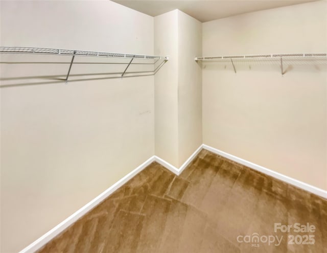 spacious closet with carpet flooring