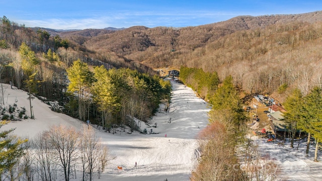 property view of mountains