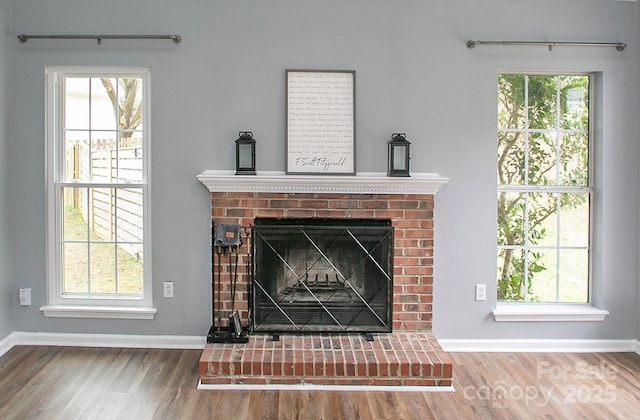 details featuring a fireplace and hardwood / wood-style floors