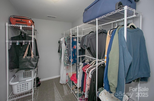 spacious closet featuring carpet floors