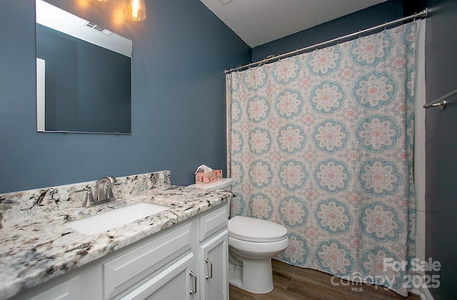 bathroom featuring vanity, wood-type flooring, and toilet