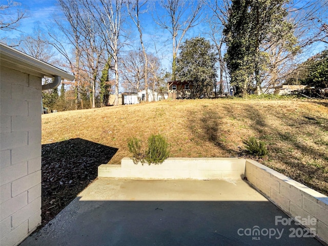 view of yard featuring a patio area